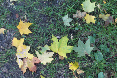 Similar image 21533793