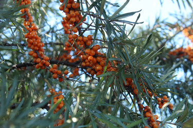 Similar image 21533796