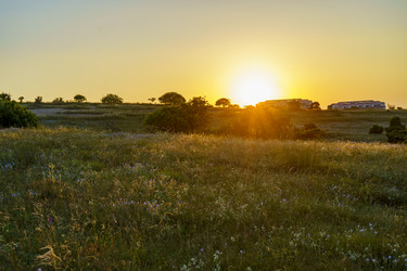 Similar image 21533258