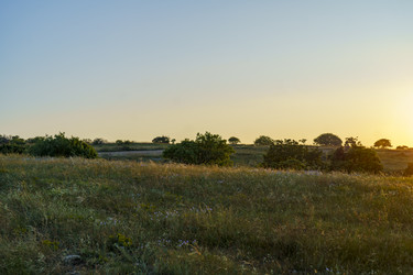 Similar image 21533259