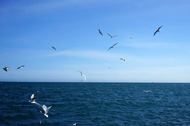 Similar image 21533264