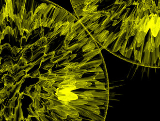 Similar image 21549651