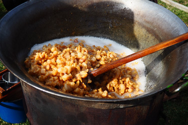 Similar image 21528040