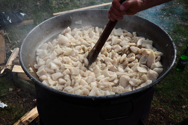 Similar image 21528045