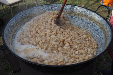 Similar image 21528047