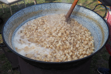 Similar image 21528048