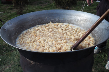 Similar image 21528049