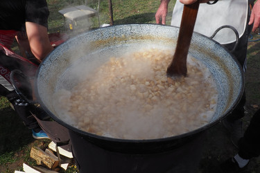 Similar image 21528055