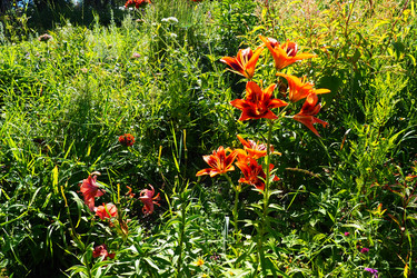 Similar image 21528077