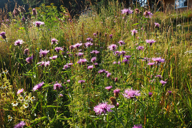 Similar image 21528080