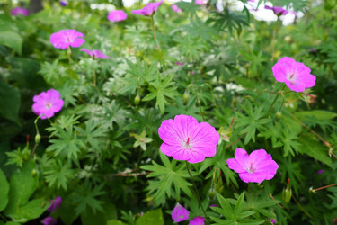 Similar image 21528183