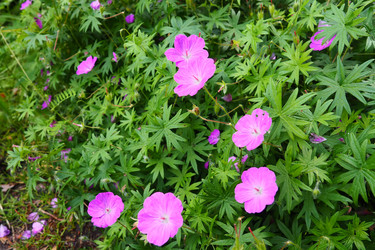 Similar image 21528185