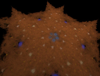 Similar image 21531616