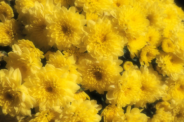 Similar image 21528186