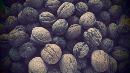 Similar image 21528084