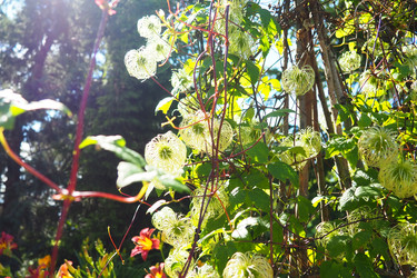 Similar image 21528087