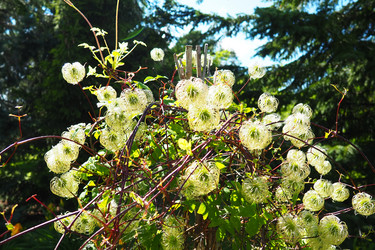 Similar image 21528088