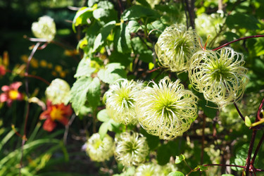 Similar image 21528092