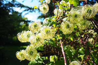 Similar image 21528093