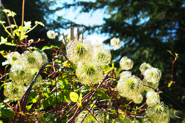 Similar image 21528094