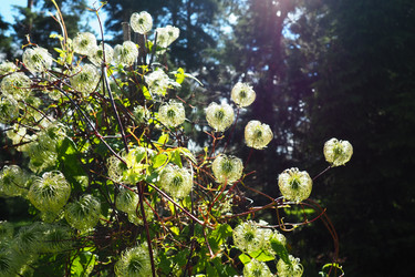 Similar image 21528095