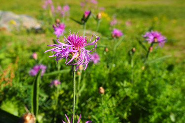 Similar image 21528096