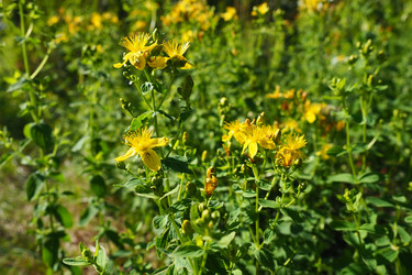 Similar image 21528097