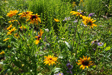 Similar image 21528098