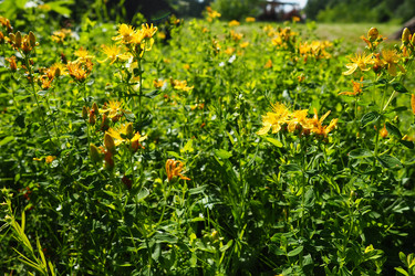 Similar image 21528099