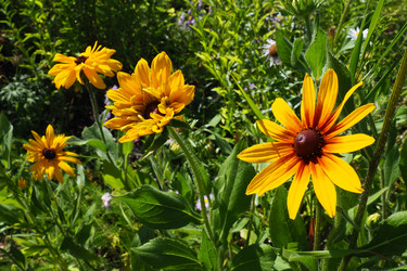 Similar image 21528106