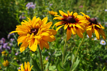 Similar image 21528109