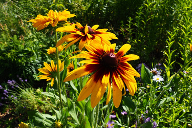 Similar image 21528111