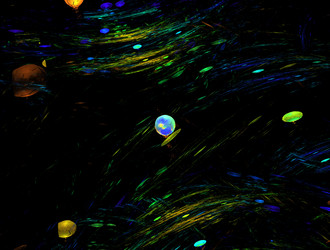 Similar image 21549377