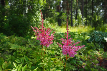 Similar image 21528115