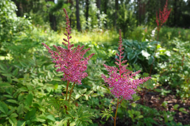 Similar image 21528116