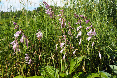 Similar image 21528119