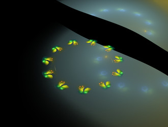 Similar image 21529904