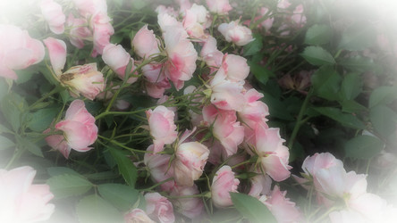 Similar image 21528120