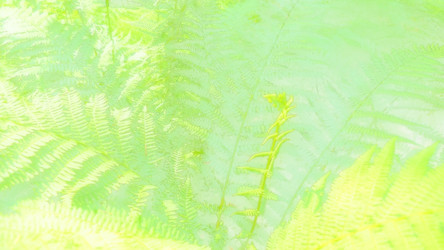 Similar image 21528189