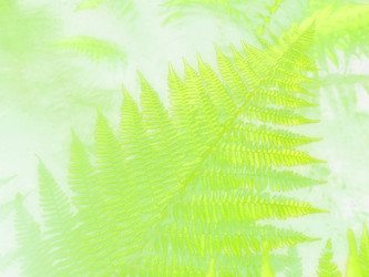 Similar image 21528195