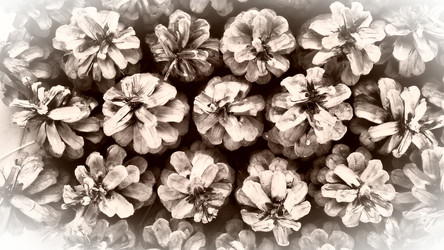 Similar image 21528196