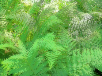 Similar image 21528197