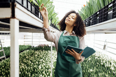 Similar image 21534944