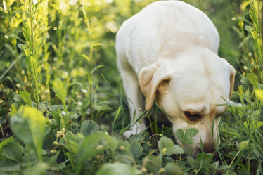 Similar image 21534965