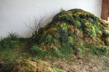 Similar image 21534968