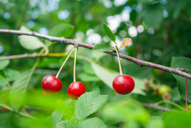 Similar image 21534363