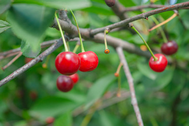 Similar image 21534364