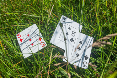 Similar image 21533821