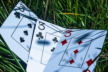 Similar image 21533822