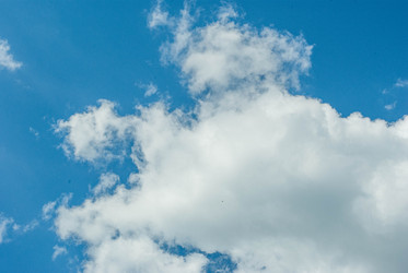 Similar image 21533824